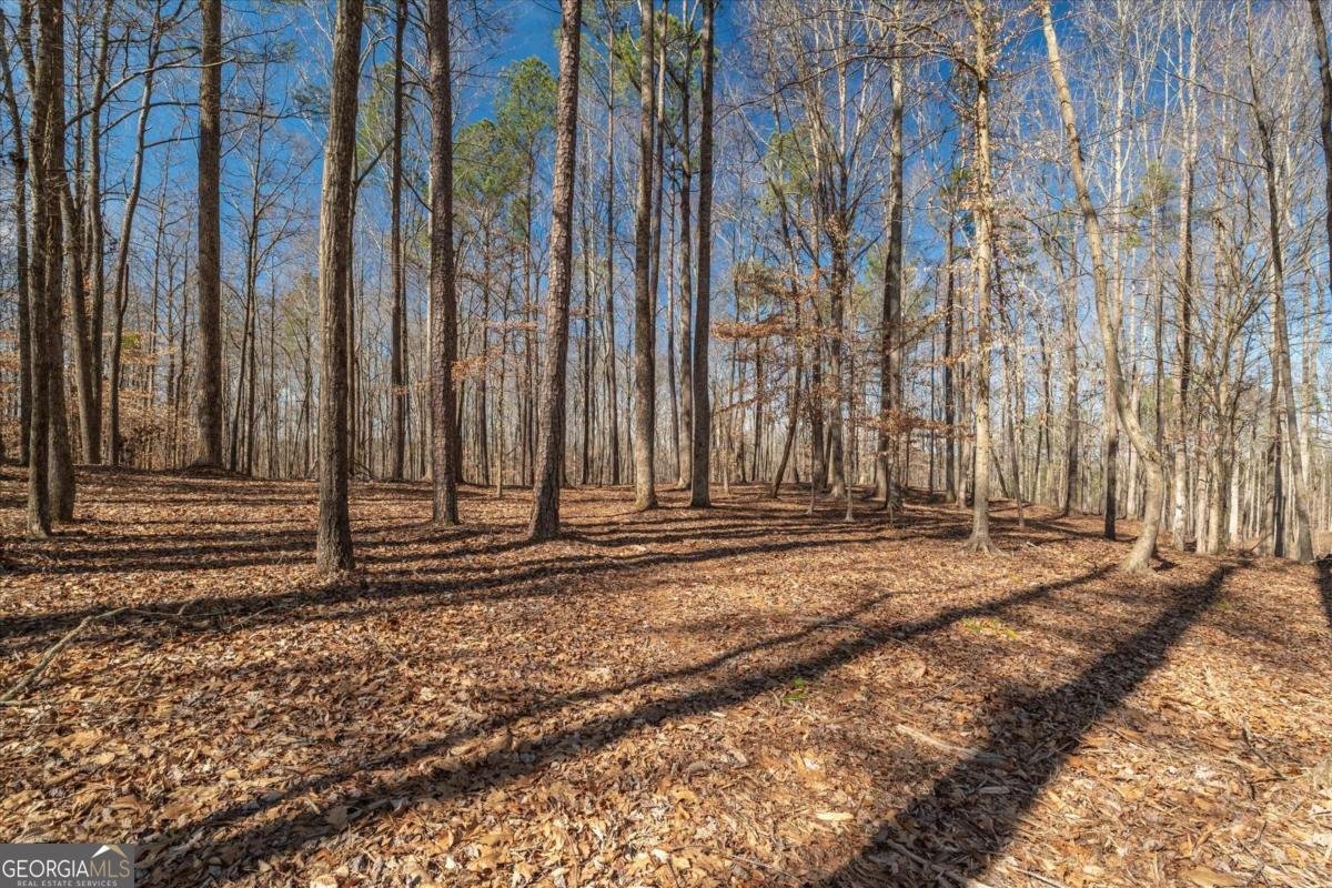 582 Temple Draketown Road Temple - Photo 63