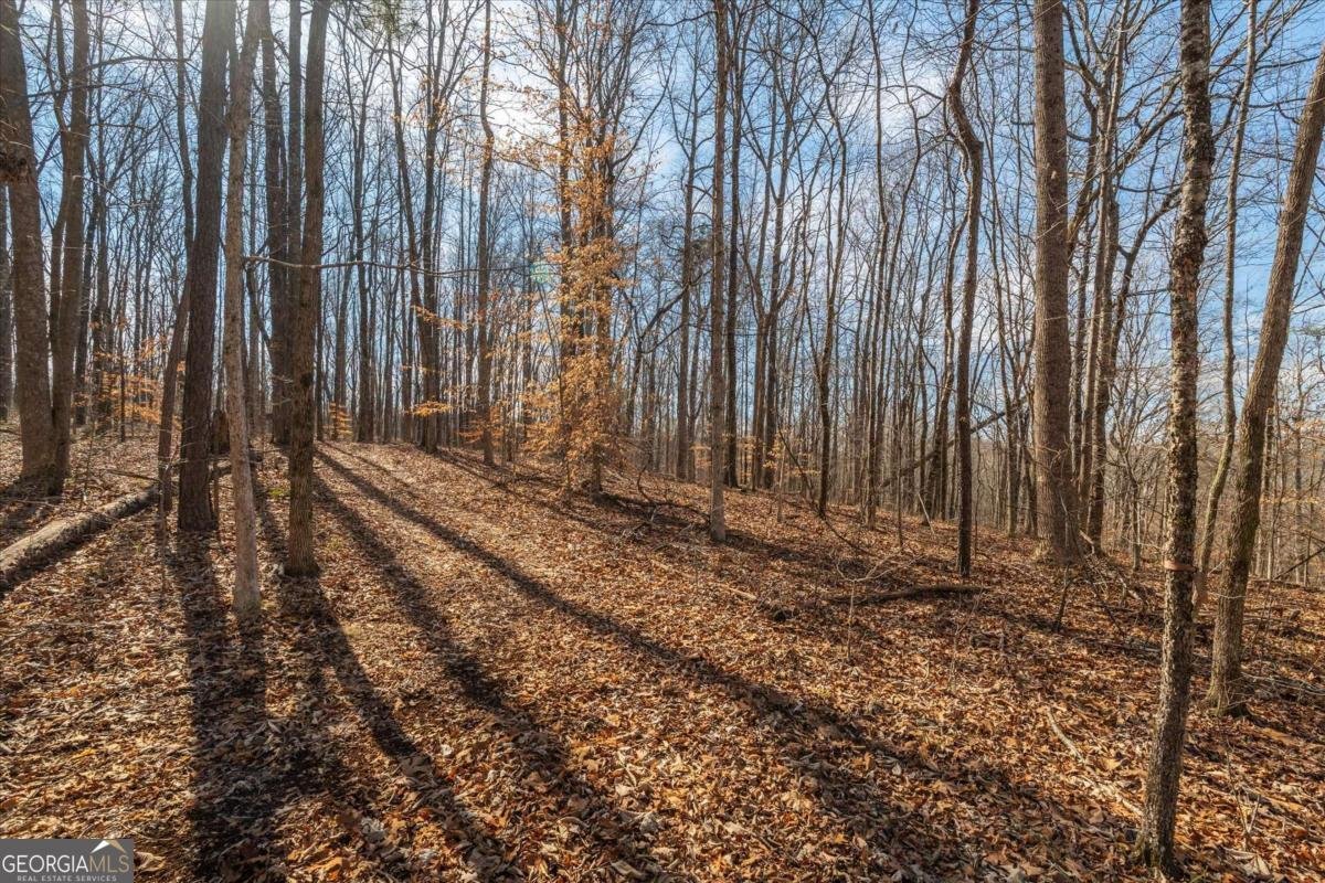 582 Temple Draketown Road Temple - Photo 64