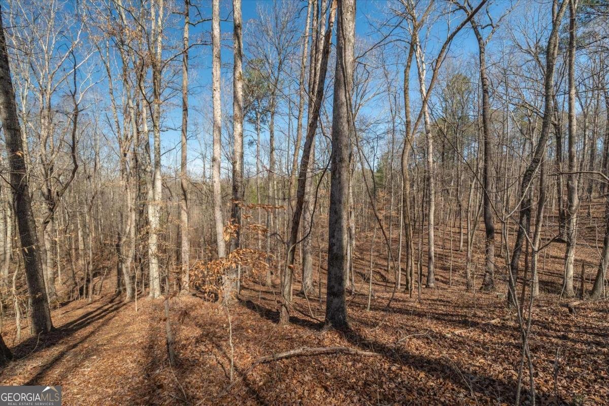 582 Temple Draketown Road Temple - Photo 69