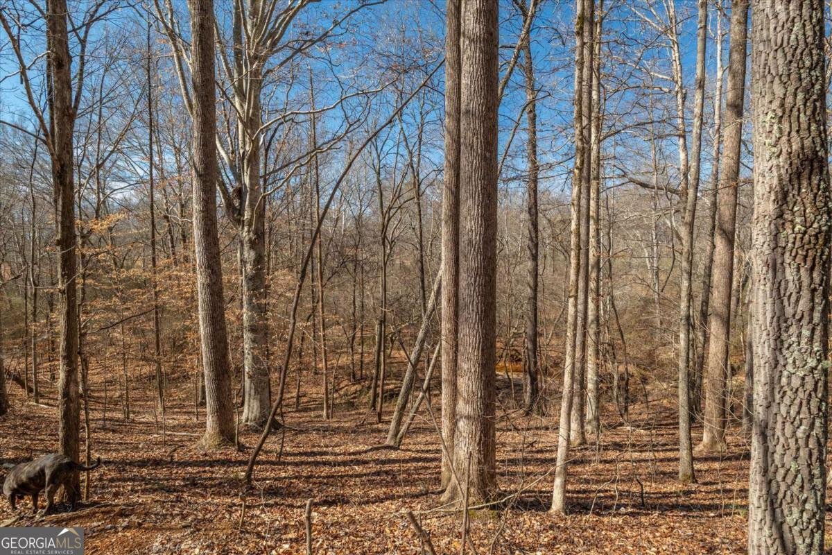 582 Temple Draketown Road Temple - Photo 70