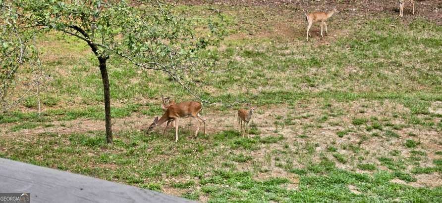 582 Temple Draketown Road Temple - Photo 72