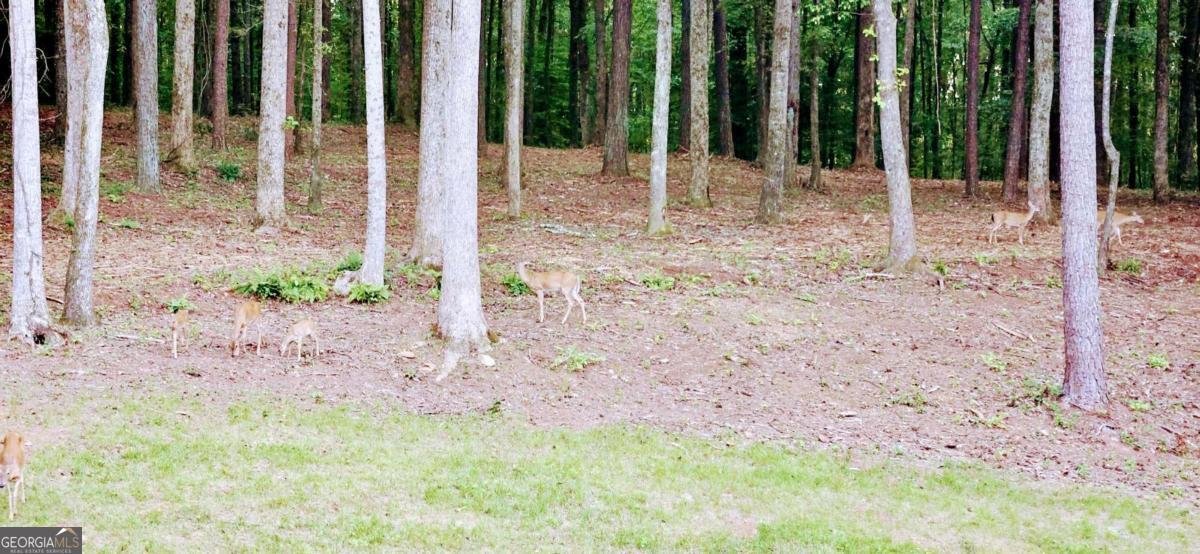 582 Temple Draketown Road Temple - Photo 73