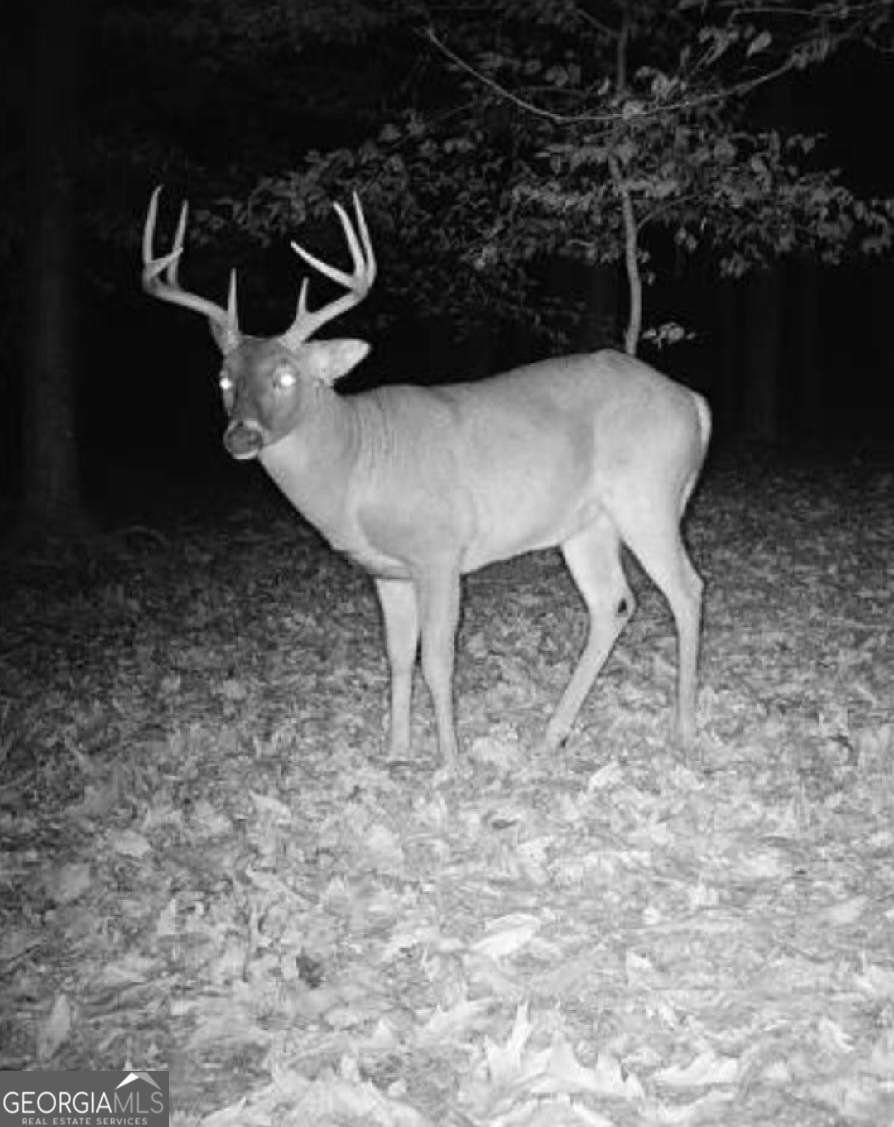 582 Temple Draketown Road Temple - Photo 74