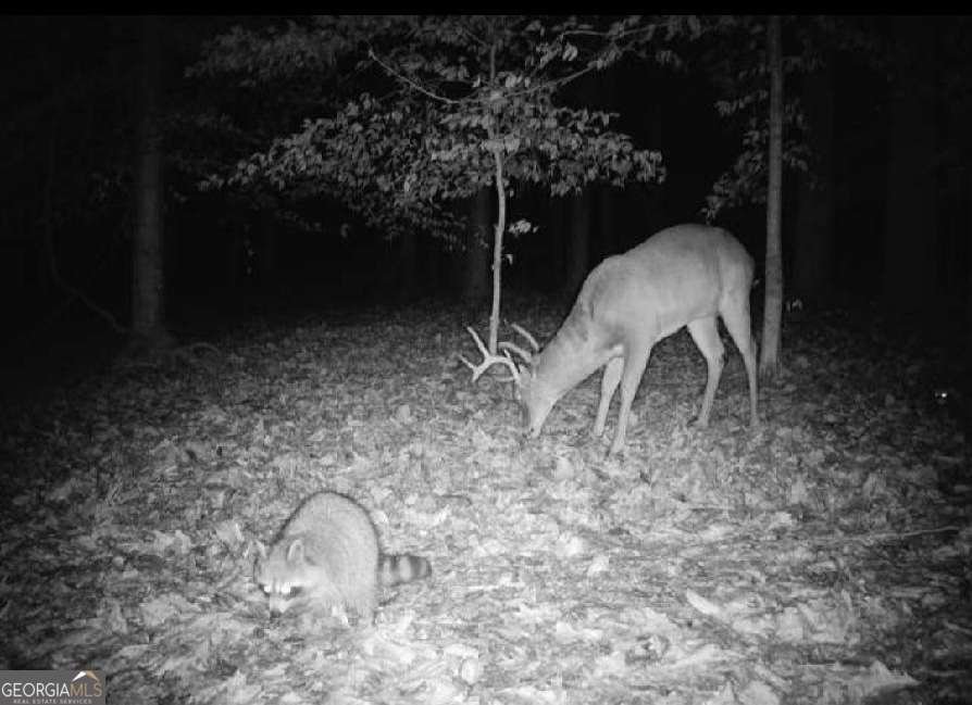 582 Temple Draketown Road Temple - Photo 75