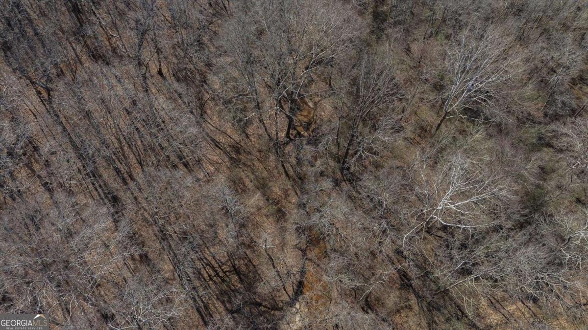 582 Temple Draketown Road Temple - Photo 76