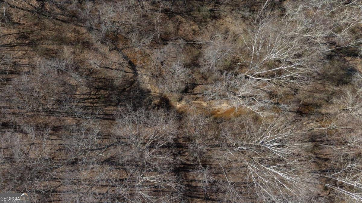 582 Temple Draketown Road Temple - Photo 77