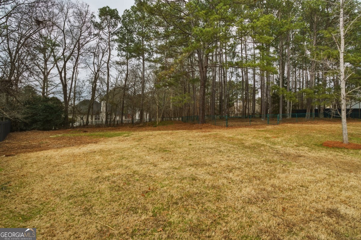 122 Shadow Lake Drive Conyers - Photo 13