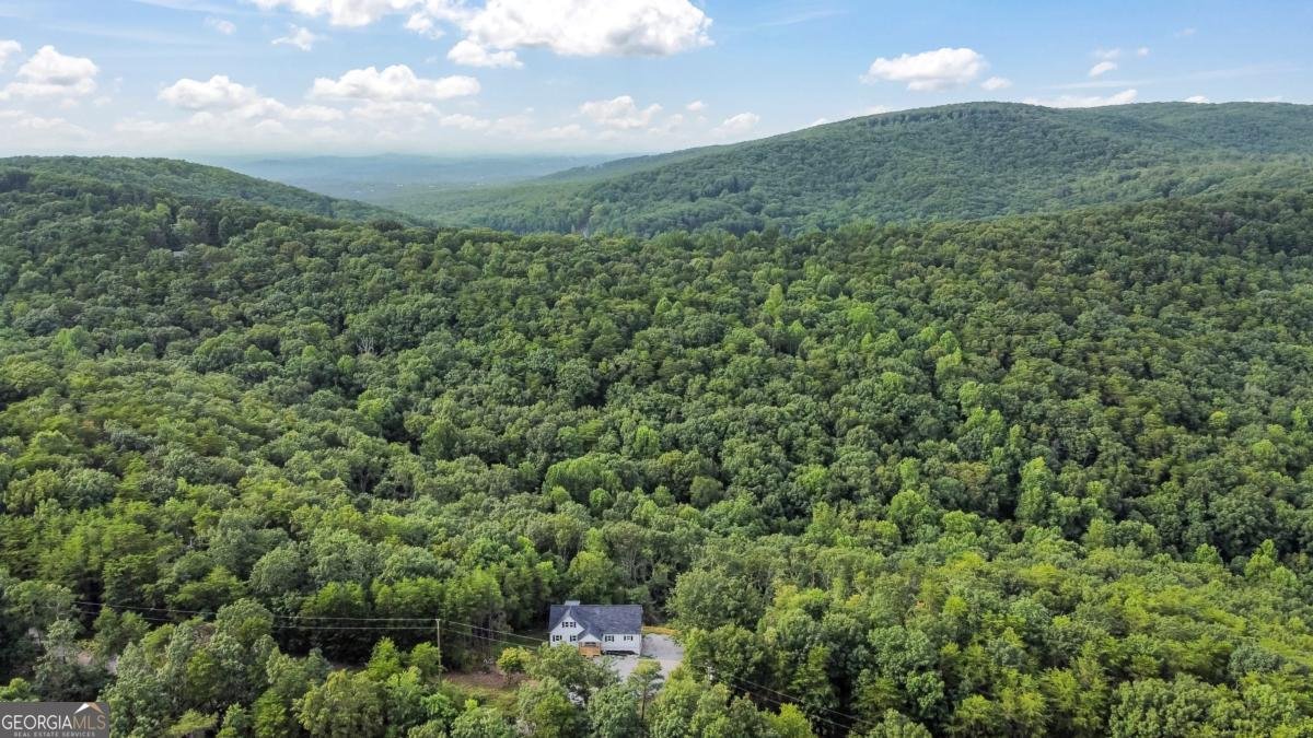 587 Oak Trace Jasper - Photo 47