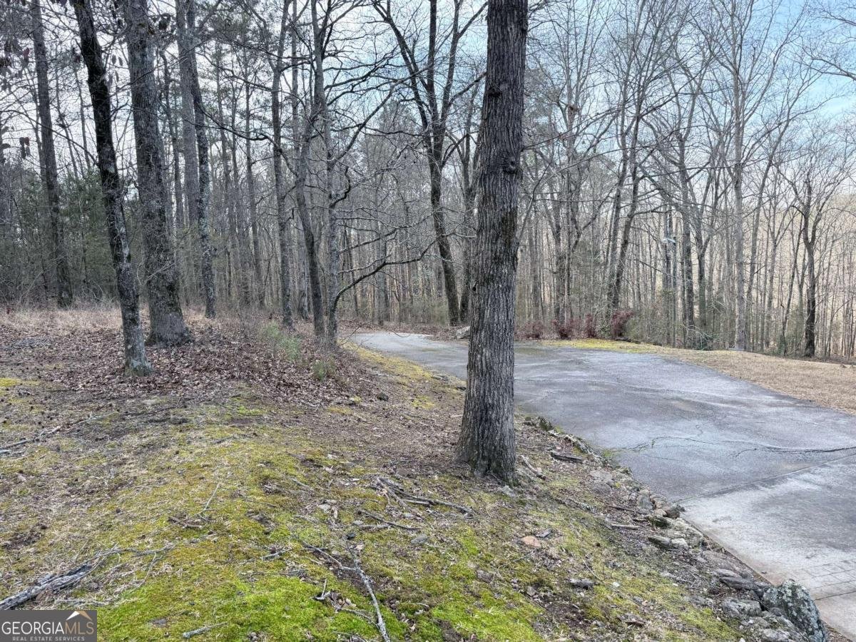 2402 Highway 138 Conyers - Photo 47