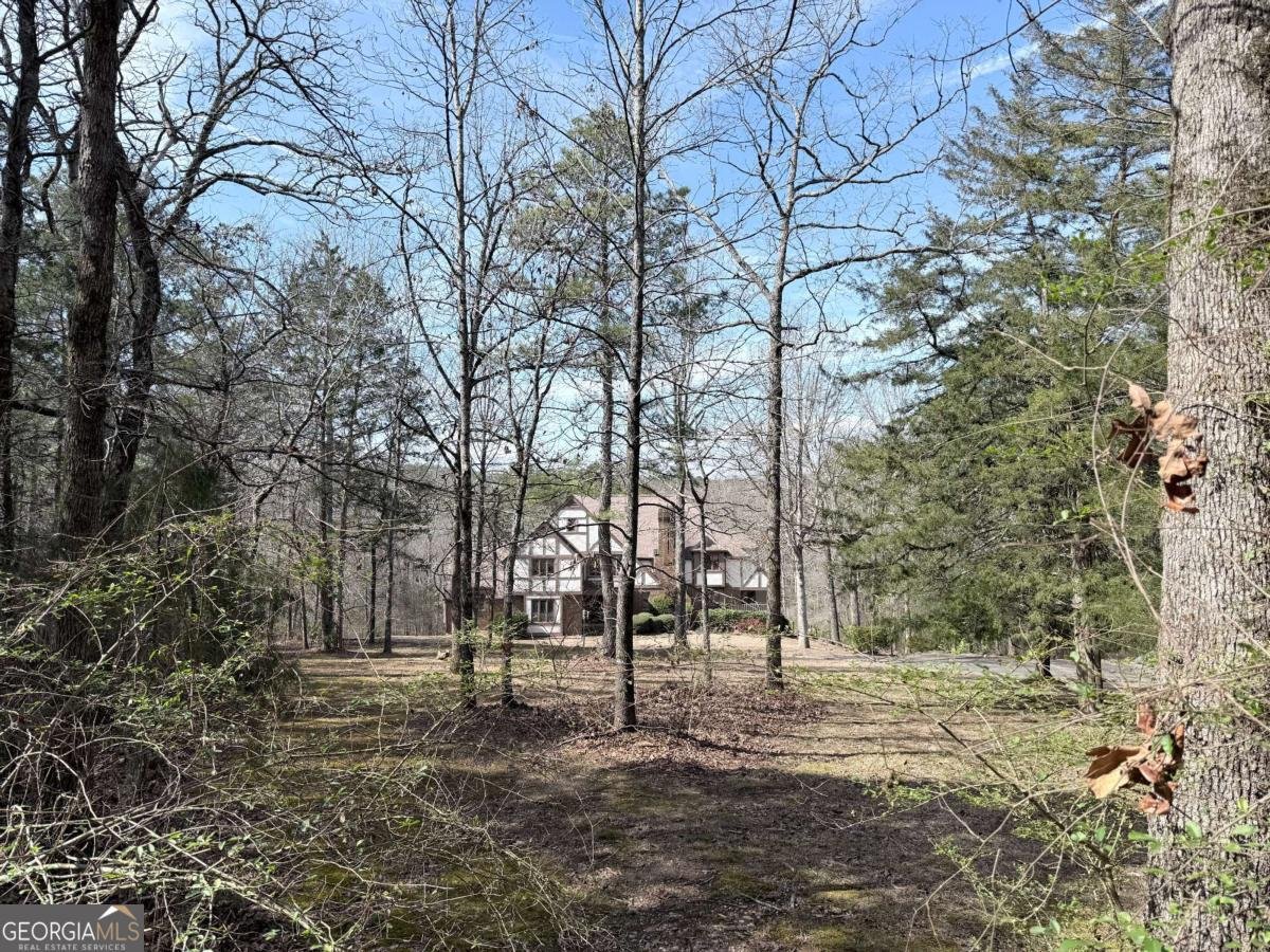 2402 Highway 138 Conyers - Photo 50