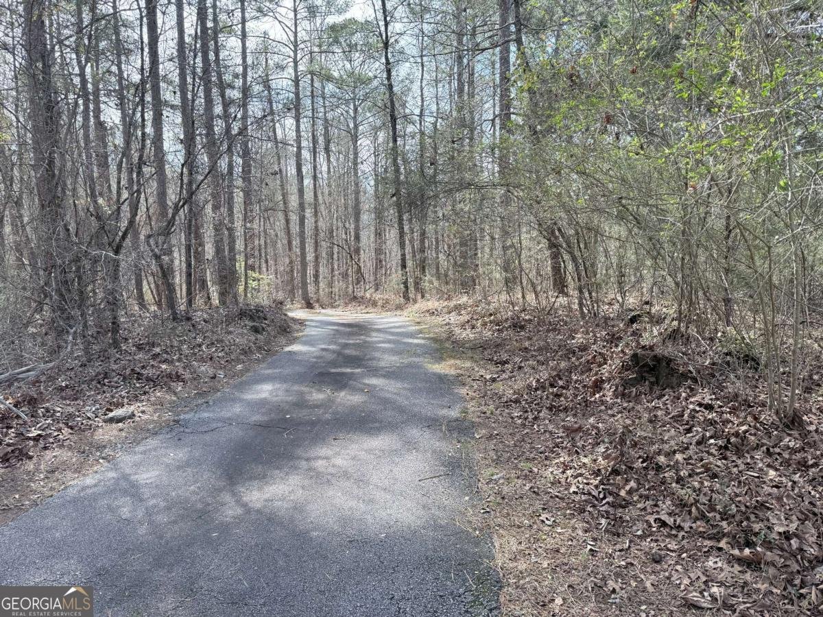 2402 Highway 138 Conyers - Photo 76