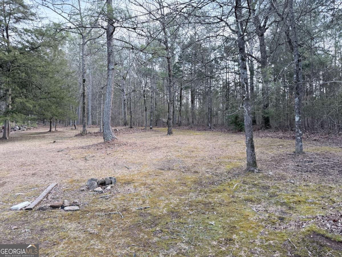 2402 Highway 138 Conyers - Photo 77