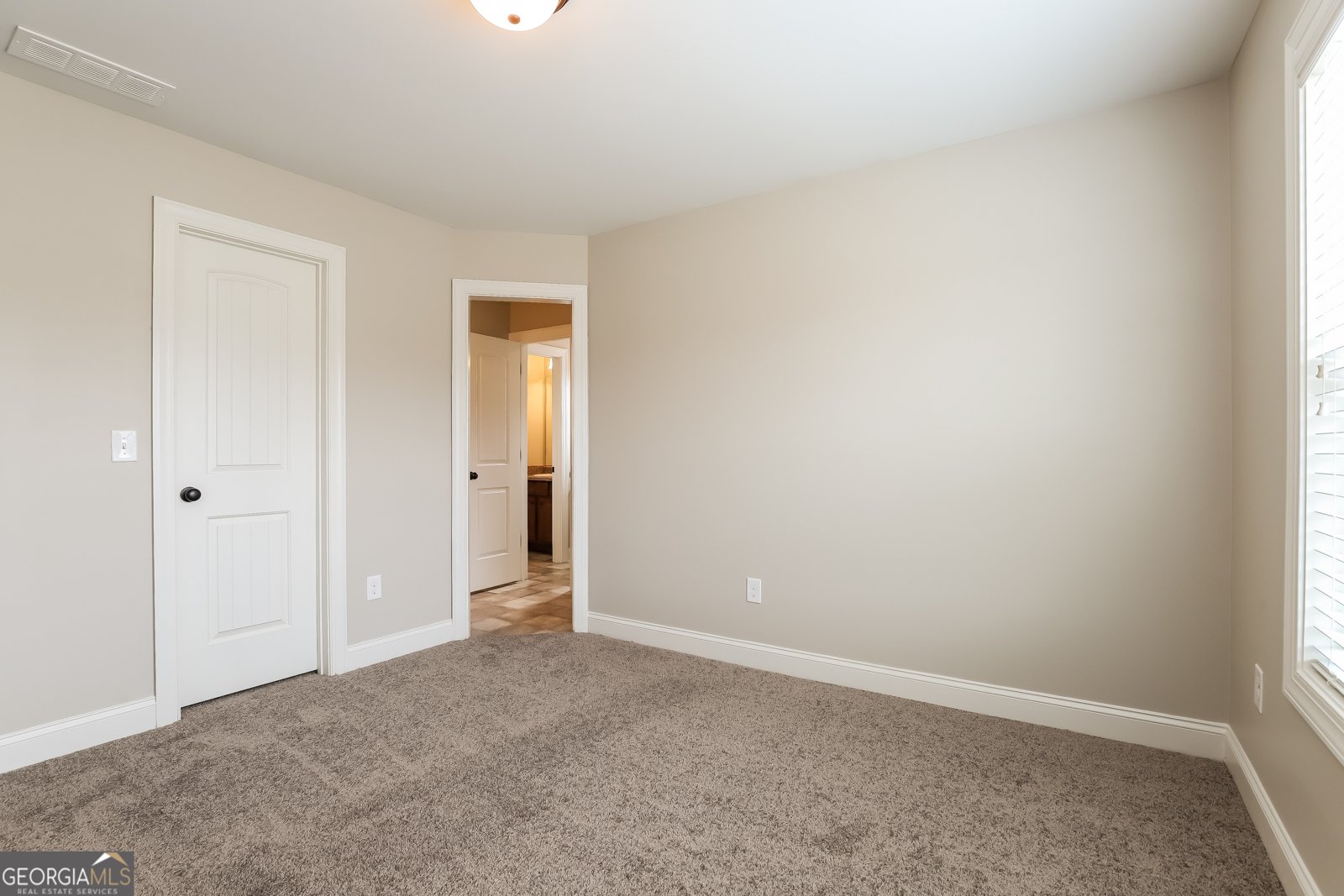 534 Amaranth Trail Hoschton - Photo 12