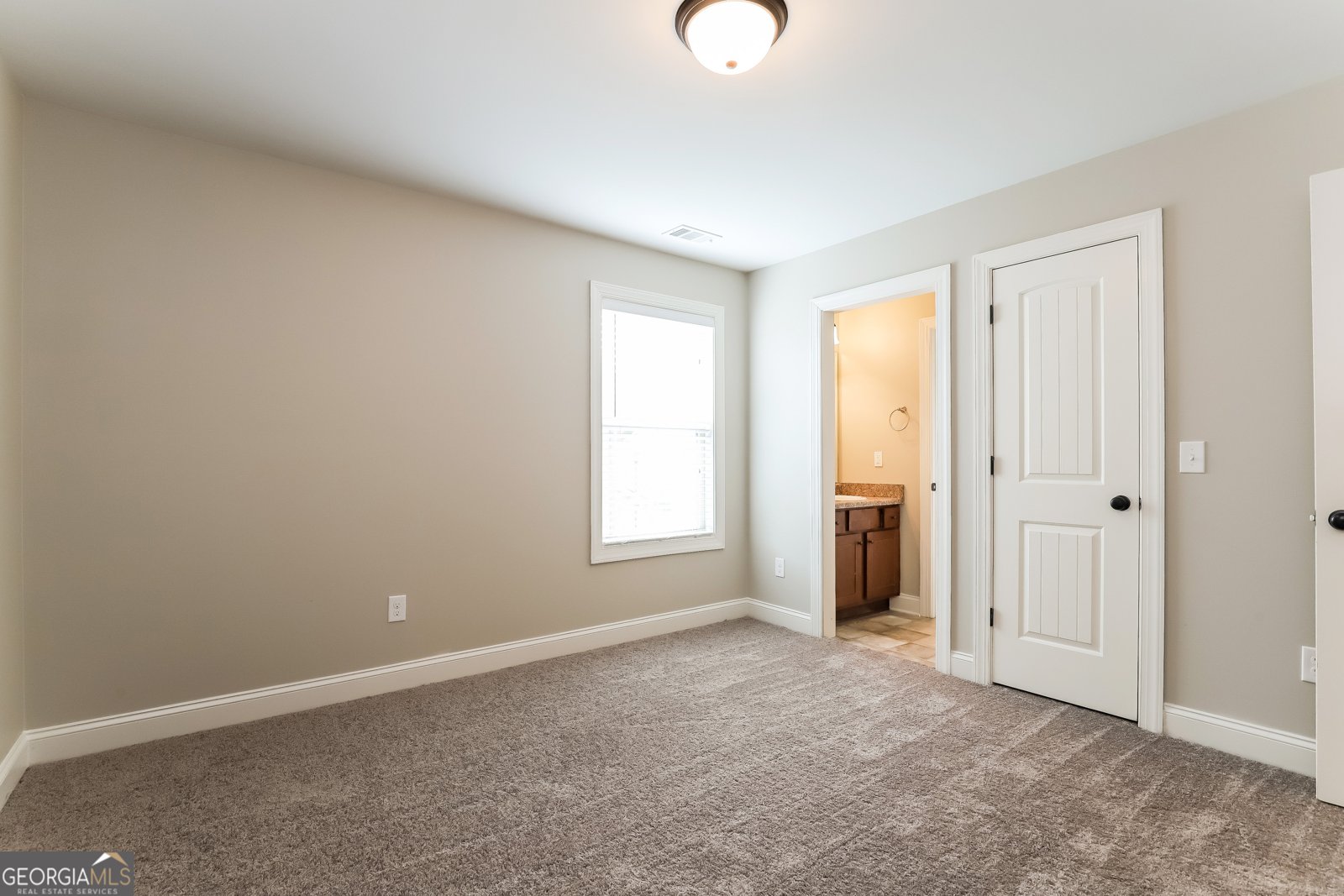 534 Amaranth Trail Hoschton - Photo 13