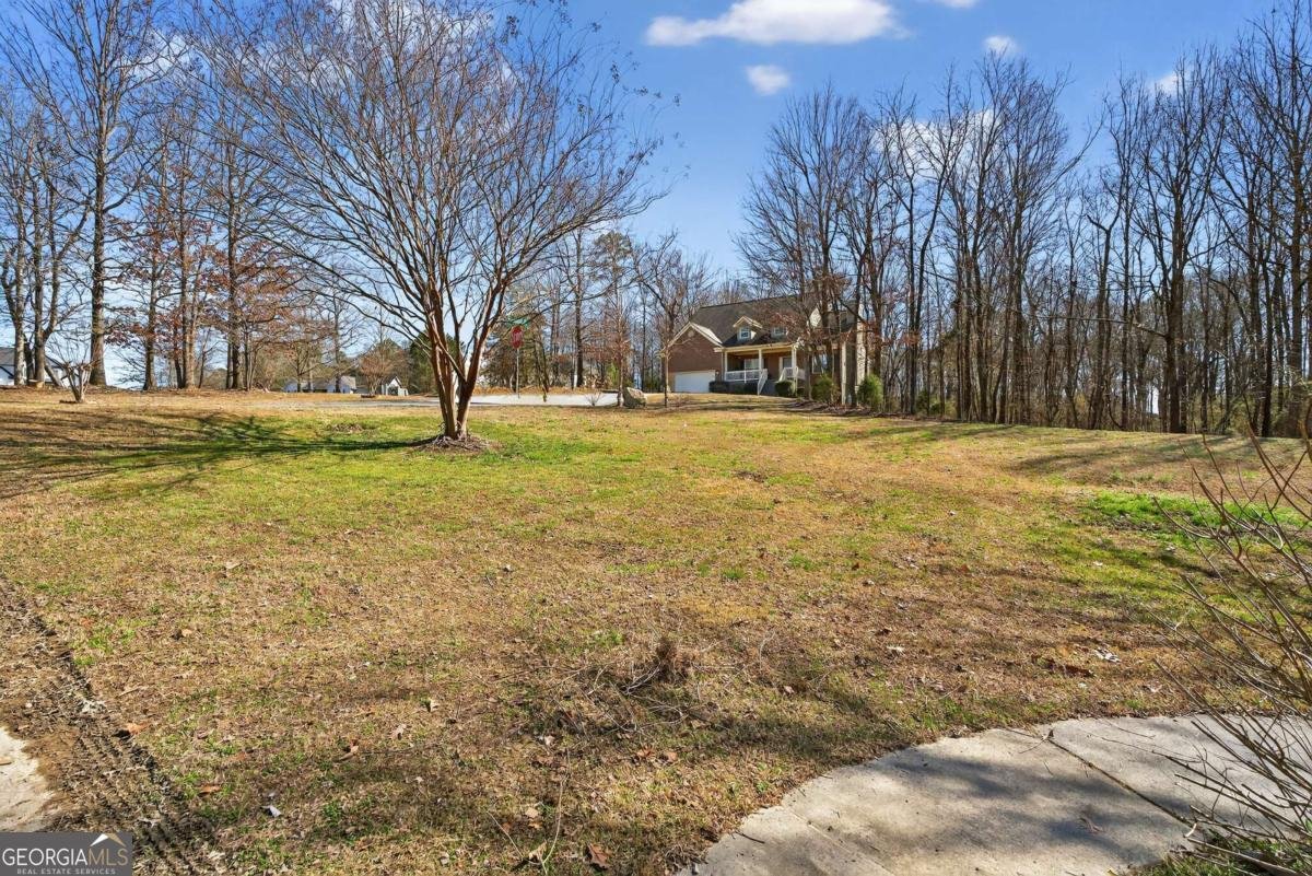 165 Richland Street Calhoun - Photo 44