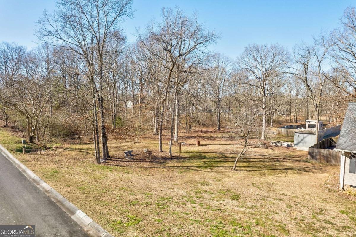 165 Richland Street Calhoun - Photo 57