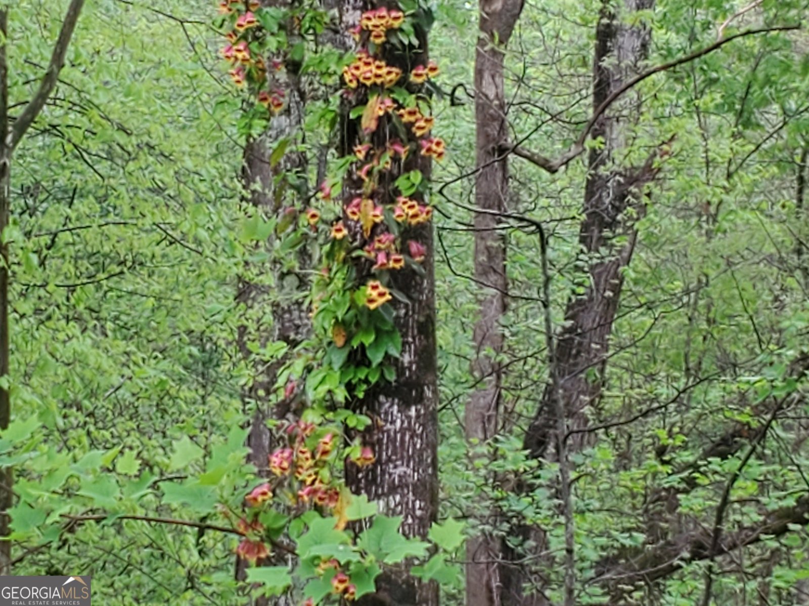 5716 Fairley Hall Court Peachtree Corners - Photo 56