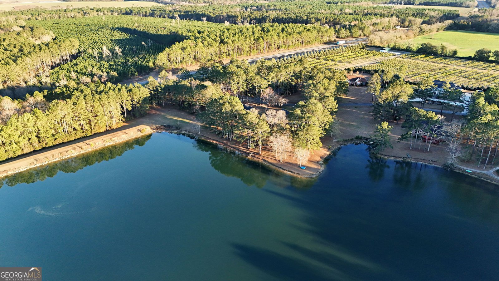 76 Riverwind Trail Meigs - Photo 48