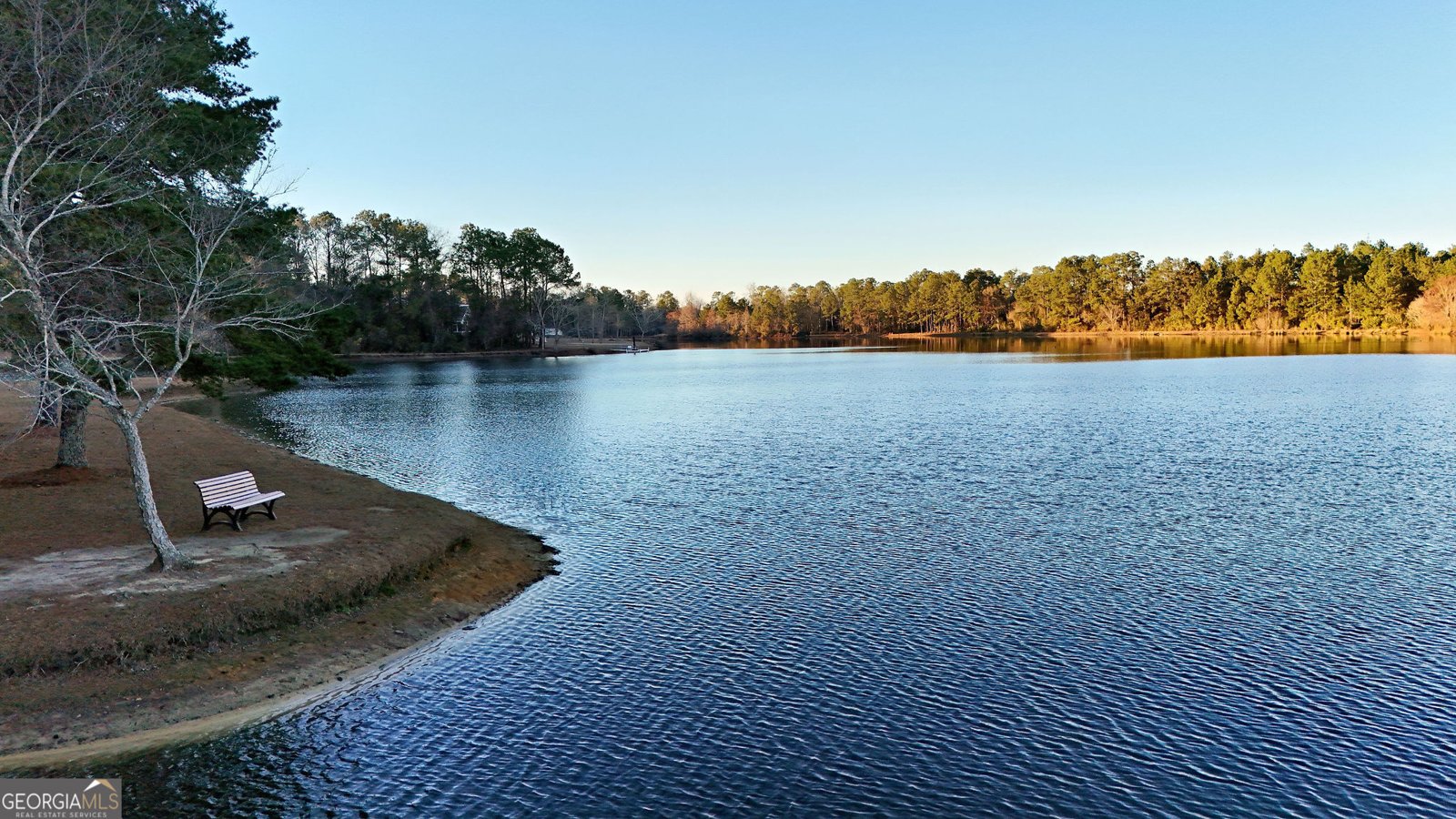 76 Riverwind Trail Meigs - Photo 51