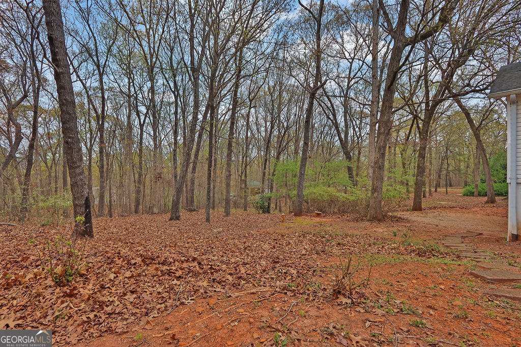 4706 Creek Wood Drive Gainesville - Photo 63