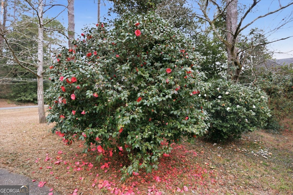 944 Nottingham Drive Macon - Photo 31