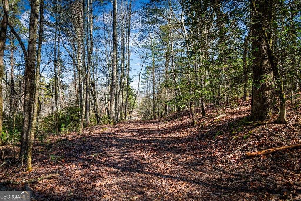 102 Captains Cove Blairsville - Photo 42