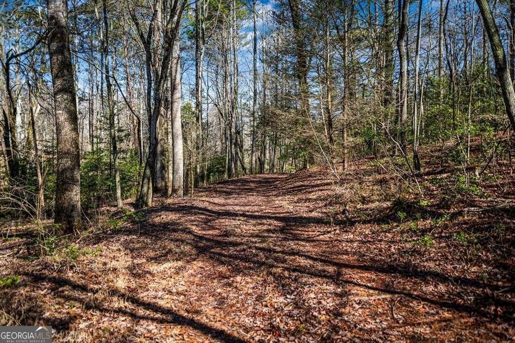 102 Captains Cove Blairsville - Photo 43