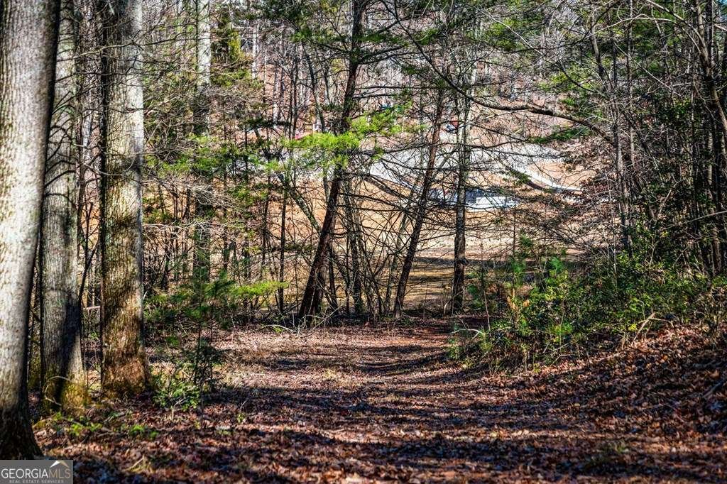 102 Captains Cove Blairsville - Photo 44