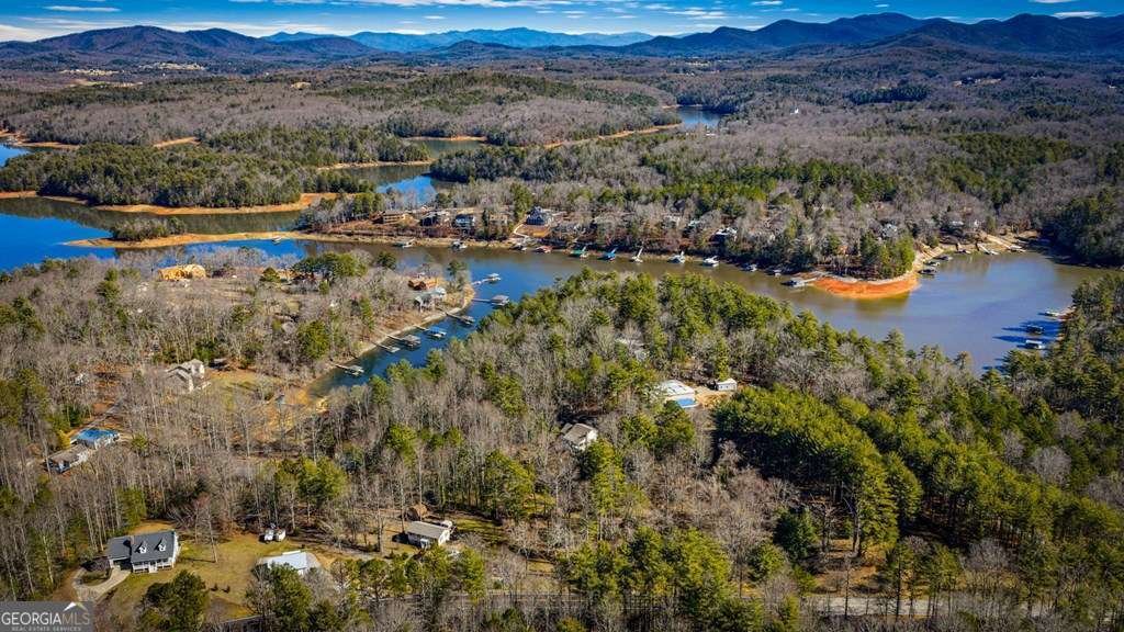 102 Captains Cove Blairsville - Photo 48