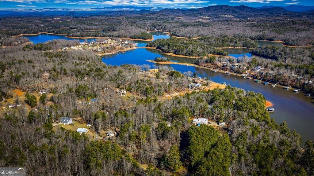 102 Captains Cove Blairsville - Photo 50