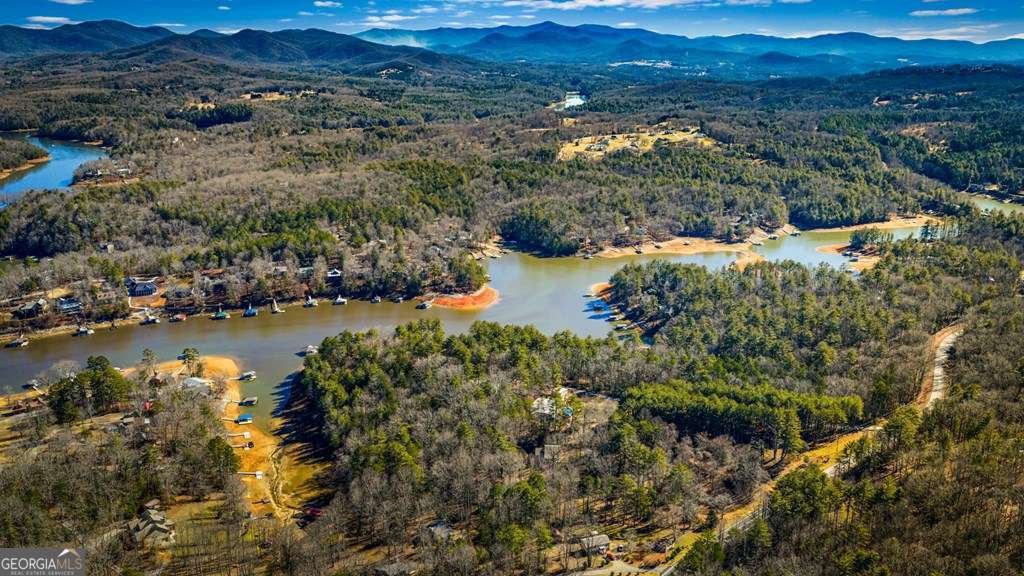 102 Captains Cove Blairsville - Photo 53