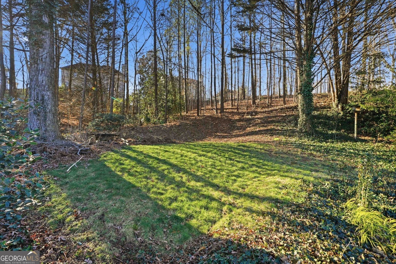 3860 Mantle Ridge Drive Cumming - Photo 64