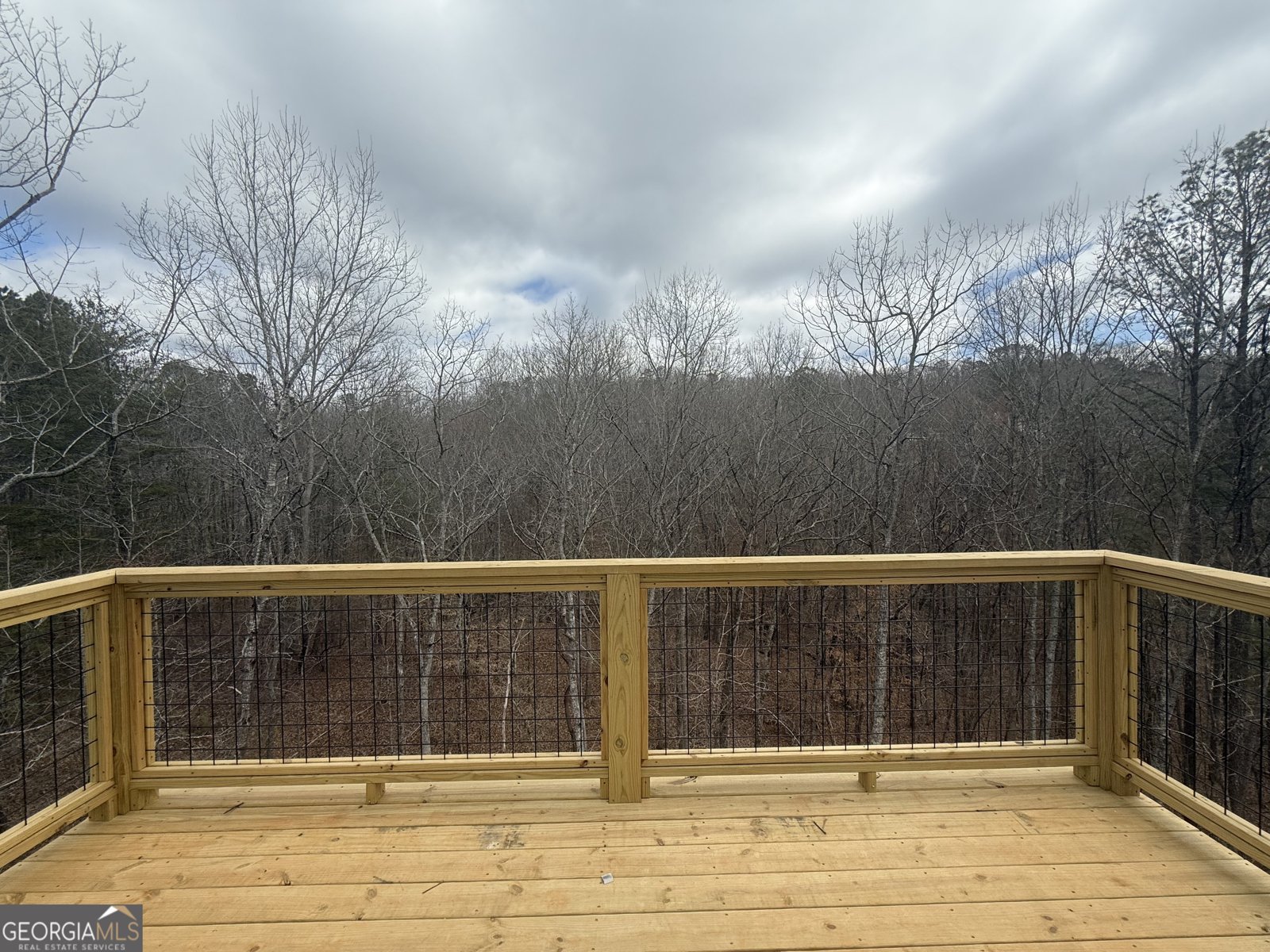 16 Altar Rock Court Cartersville - Photo 20