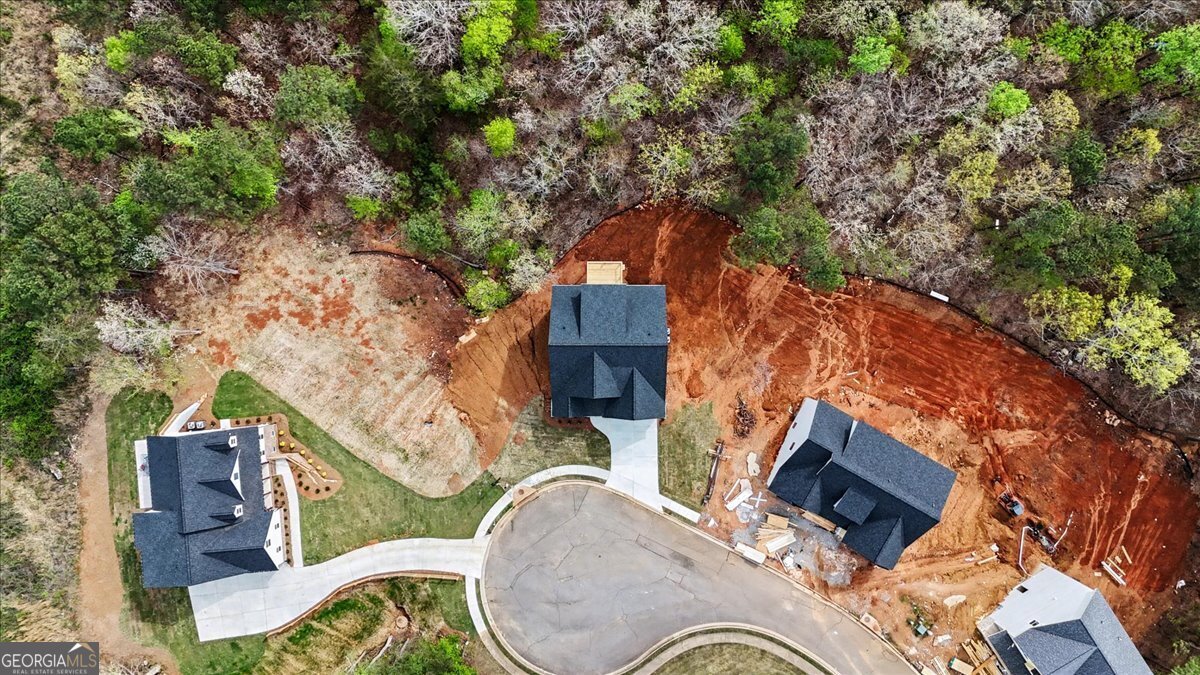 16 Altar Rock Court Cartersville - Photo 49