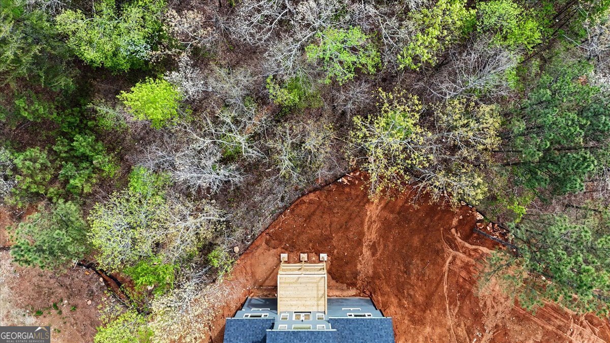 16 Altar Rock Court Cartersville - Photo 50