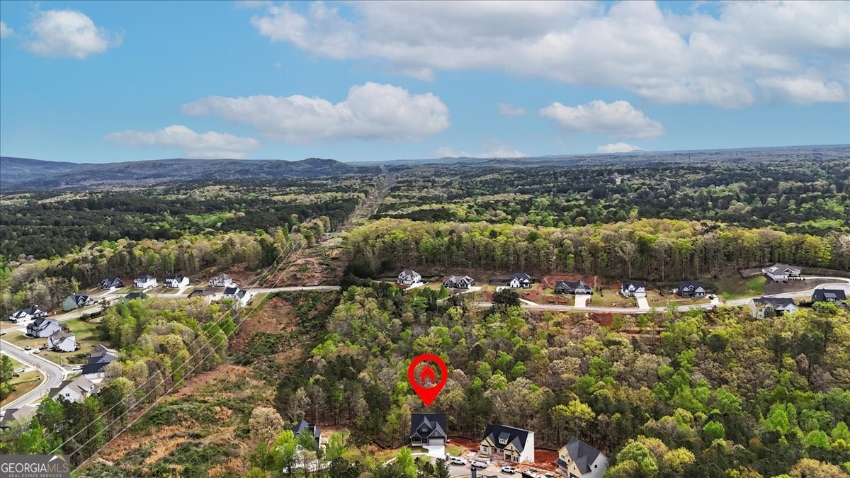 16 Altar Rock Court Cartersville - Photo 51