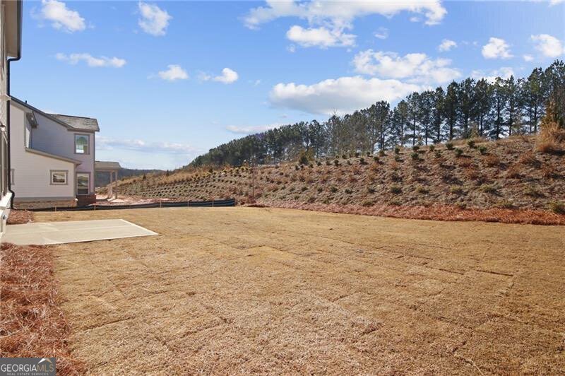 4780 Wayt Farm Overlook Cumming - Photo 40