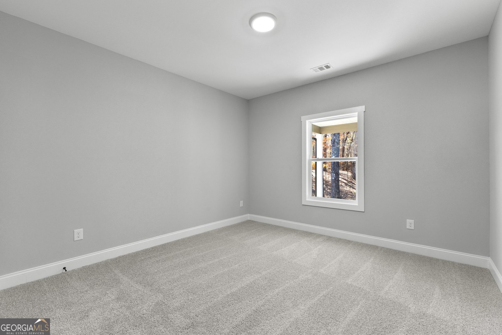 296 Deer Creek Run Moreland - Photo 39