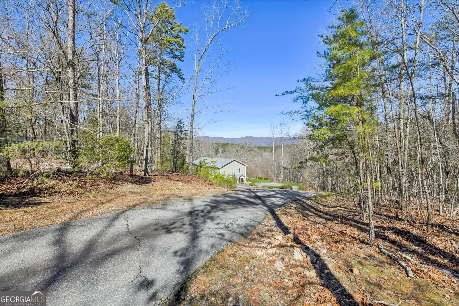 590 Ridge Road Dawsonville - Photo 74