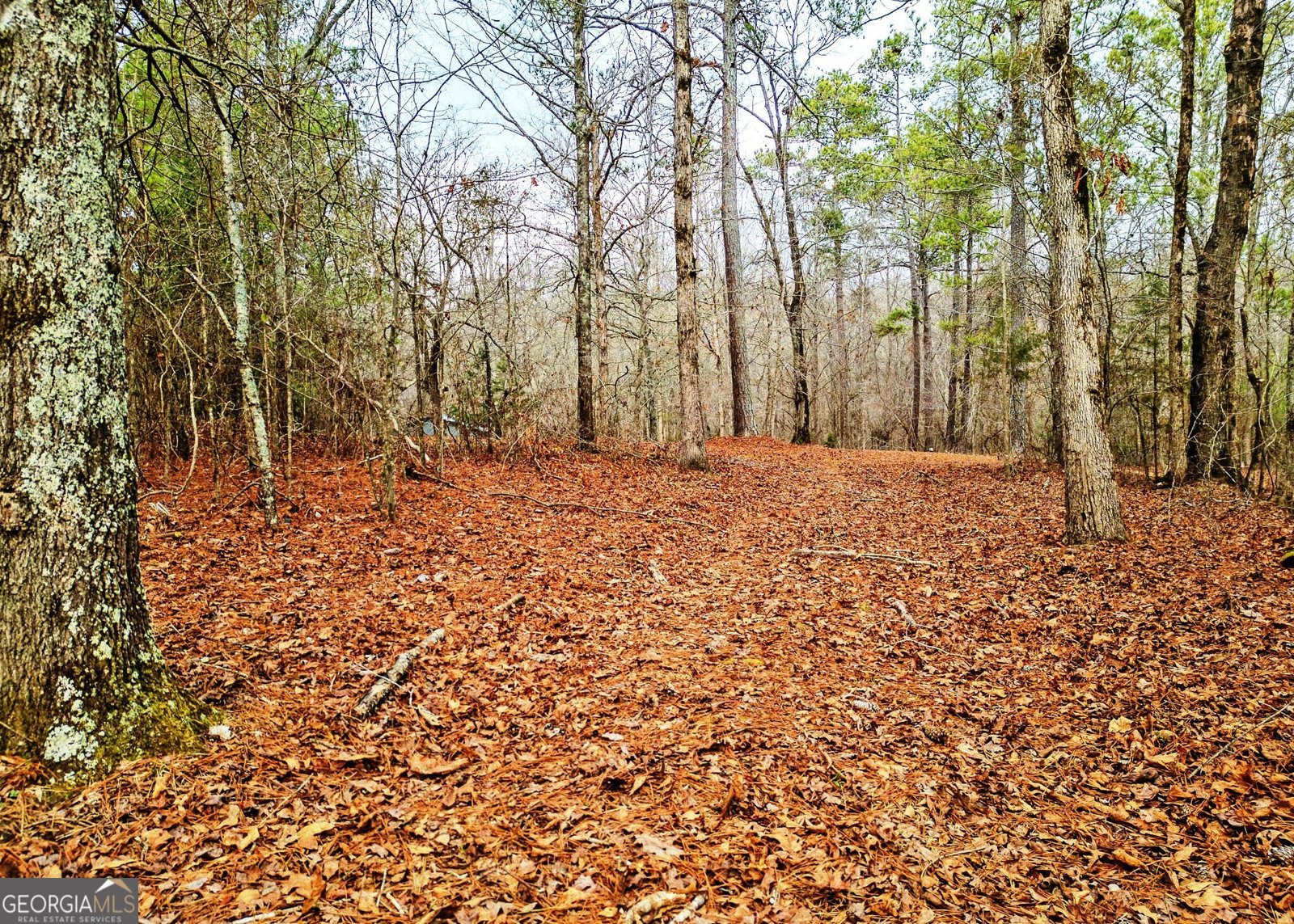 3807 Smithonia Road Comer - Photo 35