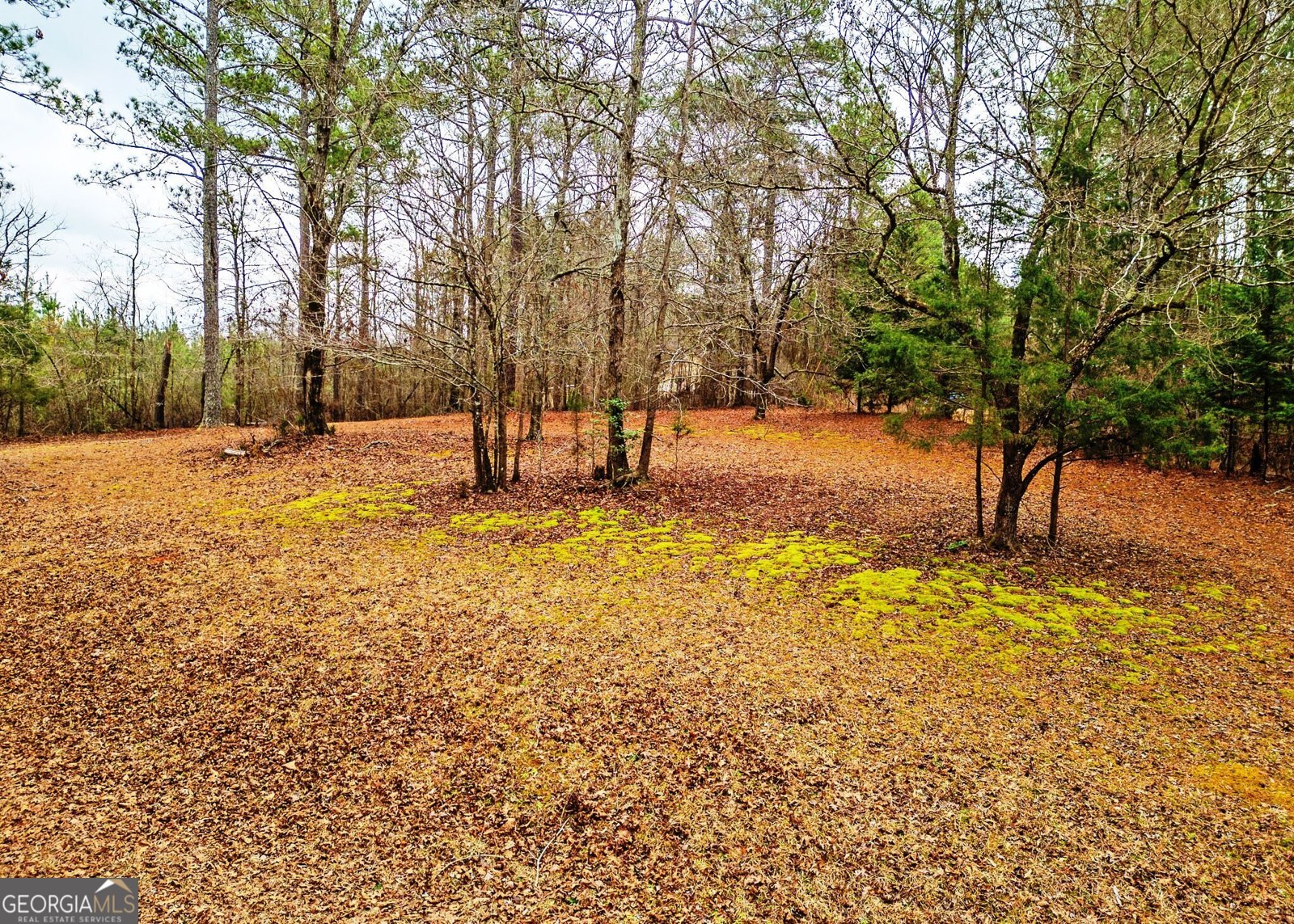 3807 Smithonia Road Comer - Photo 36