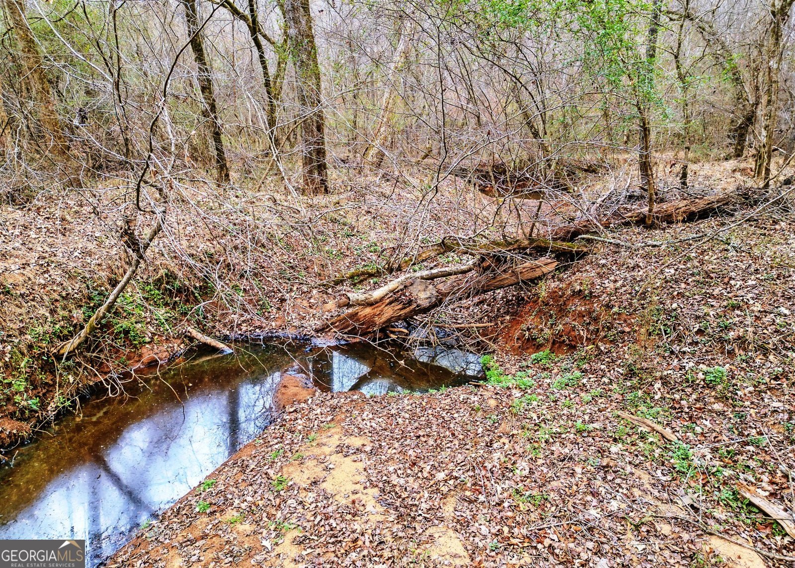 3807 Smithonia Road Comer - Photo 37