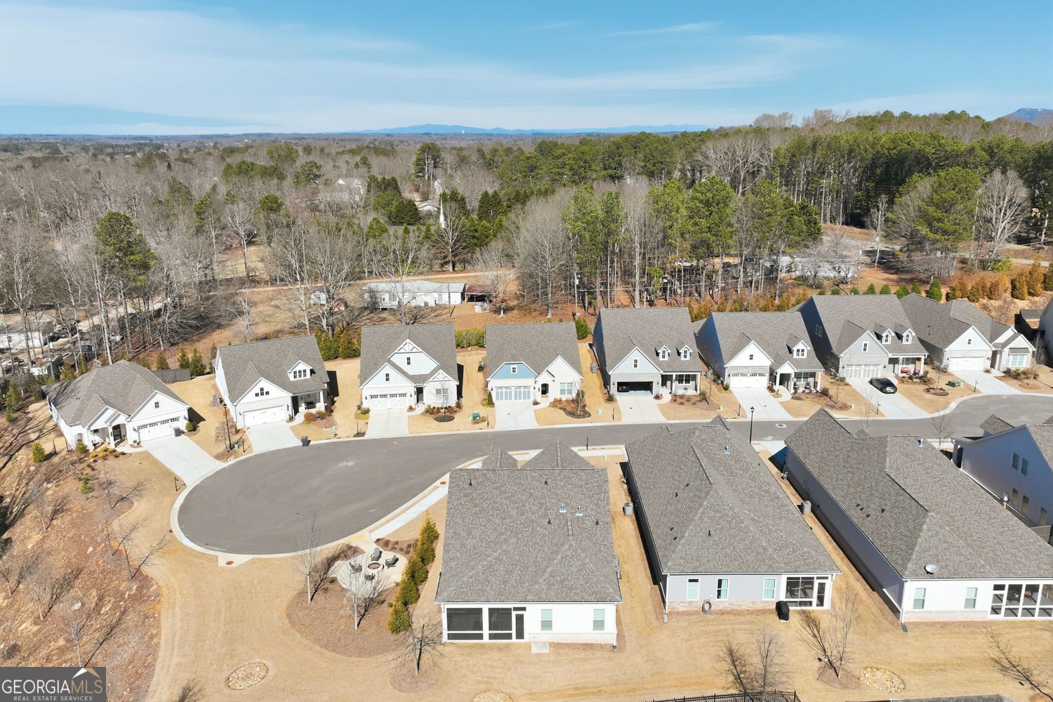 7395 Winderlea Lane Cumming - Photo 12