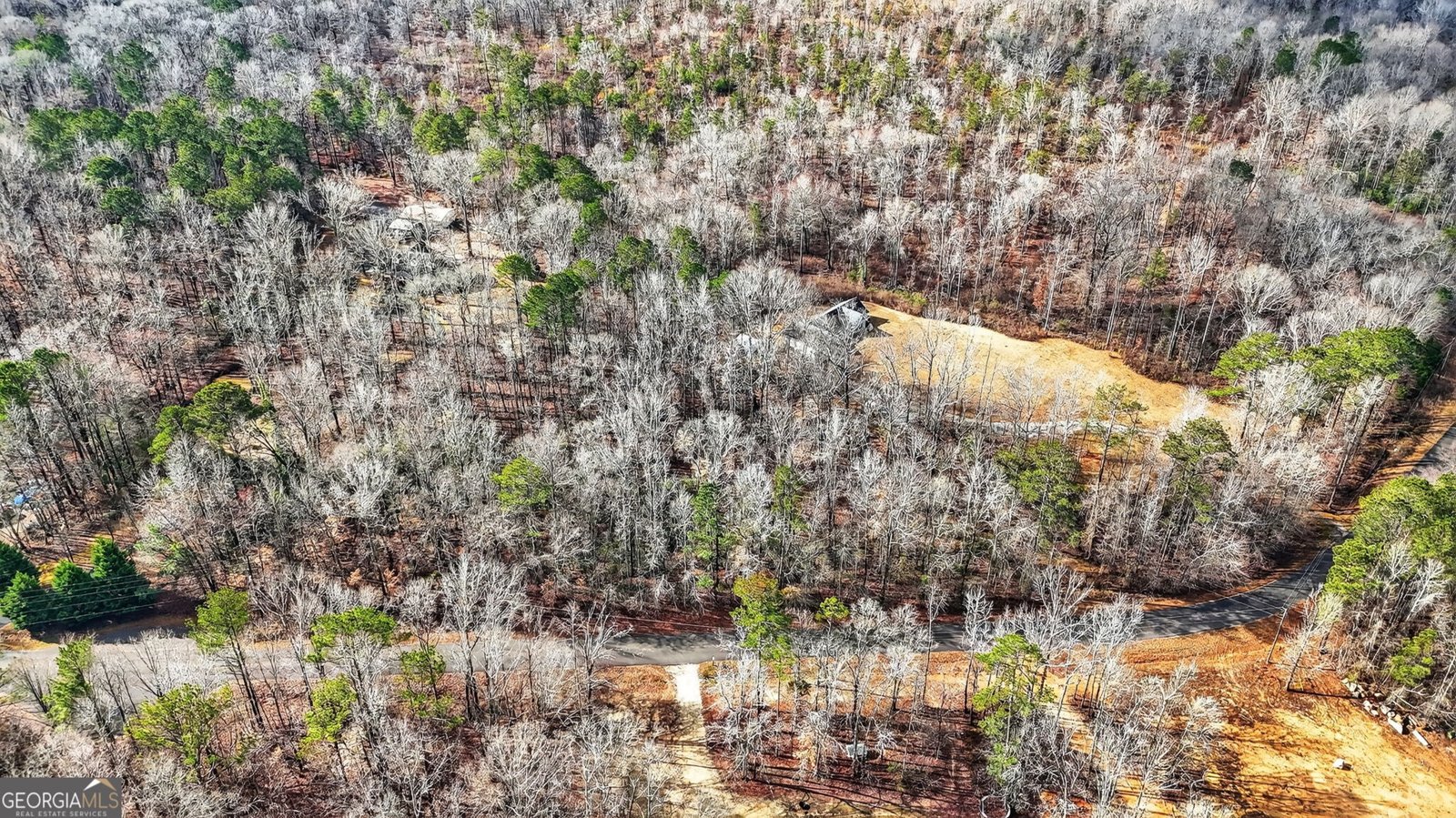 182 Ginny Lane Griffin - Photo 54