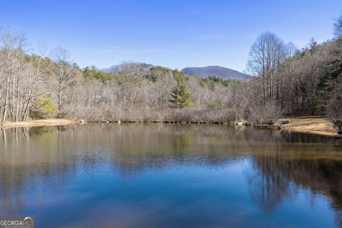 106 Little Rock Creek Road Cherry Log - Photo 45