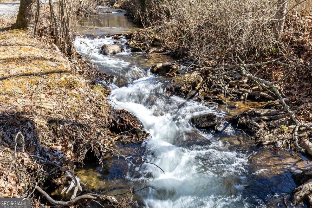 106 Little Rock Creek Road Cherry Log - Photo 46