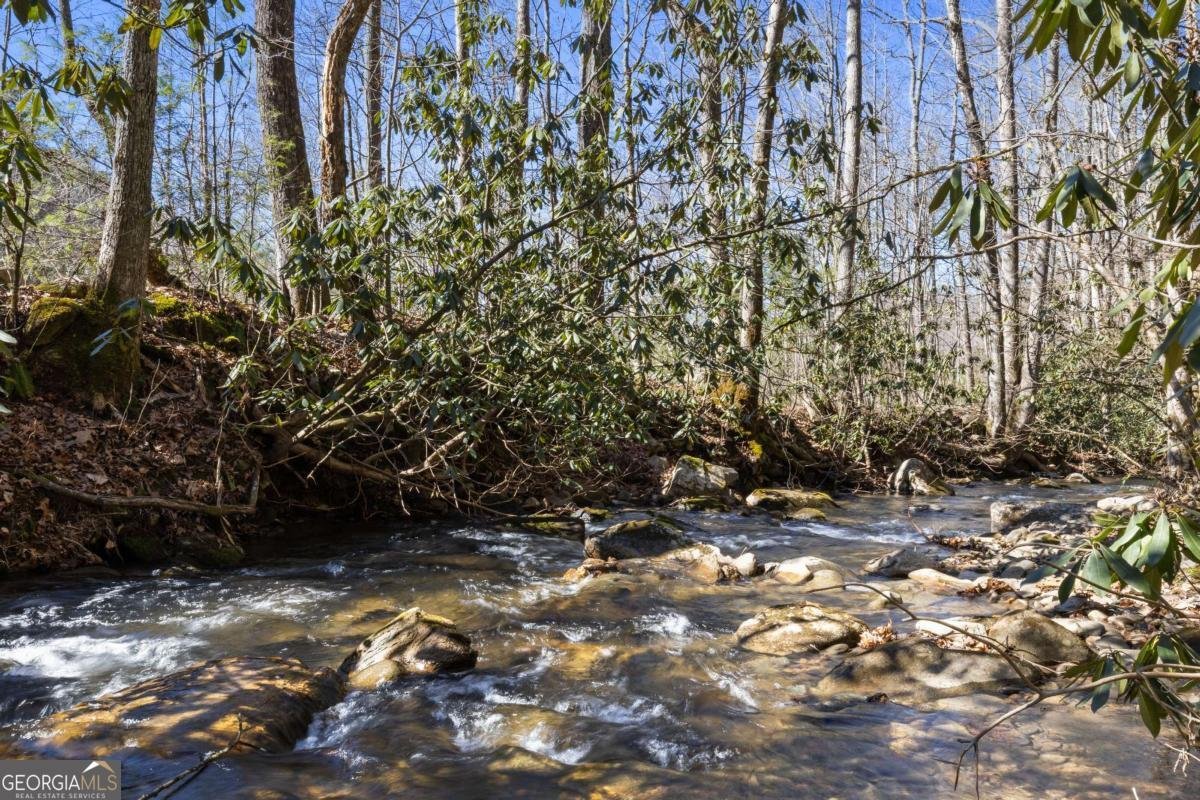 106 Little Rock Creek Road Cherry Log - Photo 47