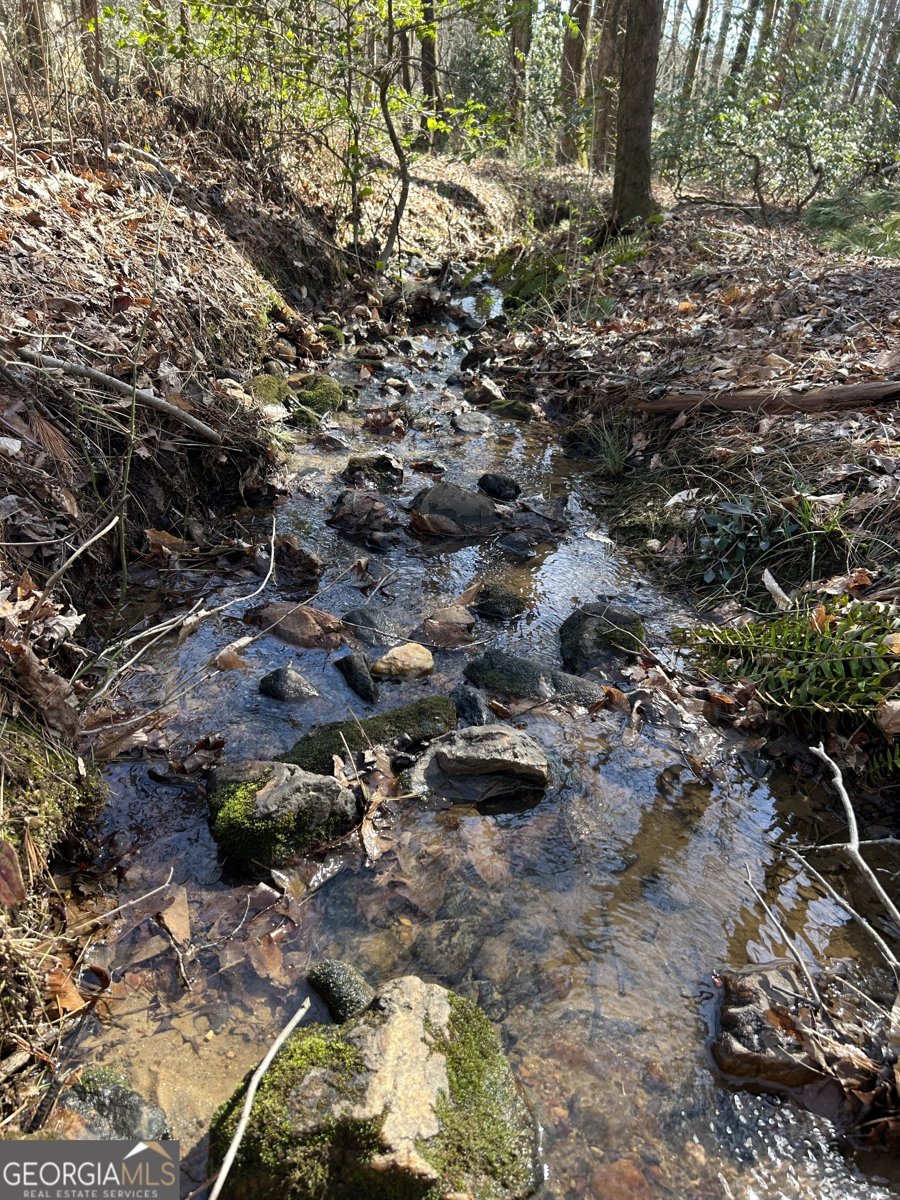 481 Chastain Road Sautee Nacoochee - Photo 40