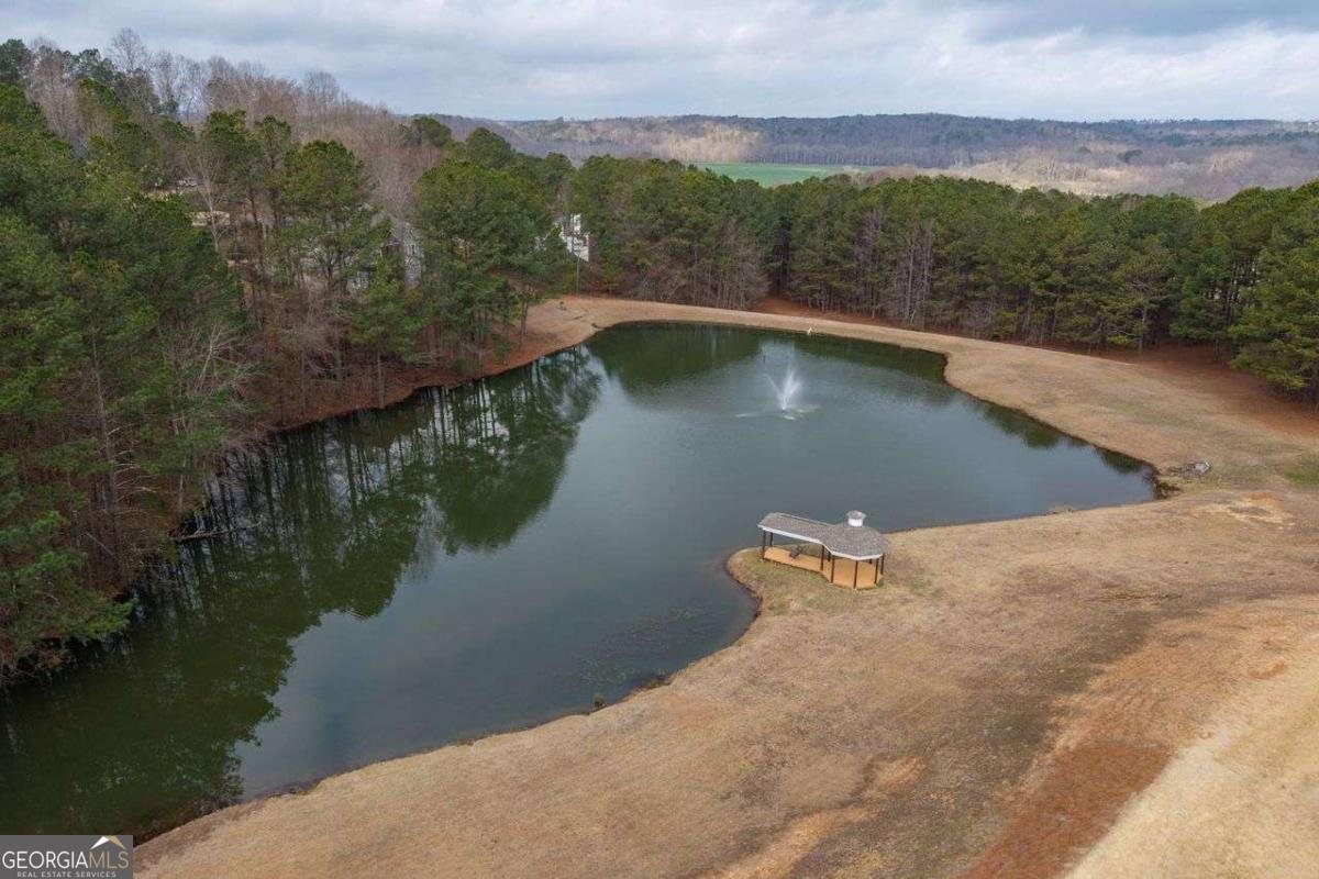 8745 Waterside Drive Ball Ground - Photo 43