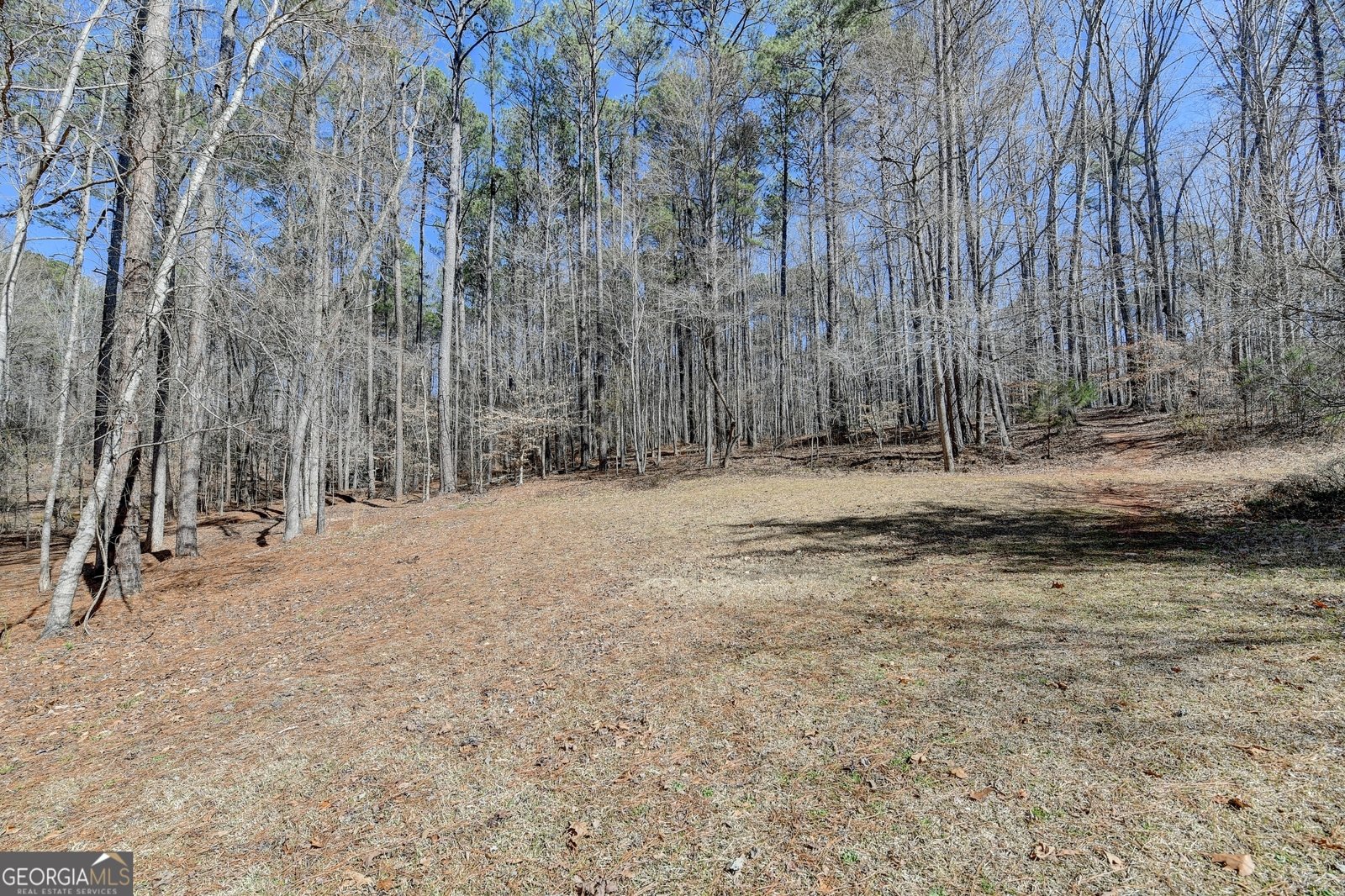 60 Hickory Hill Drive Oxford - Photo 102